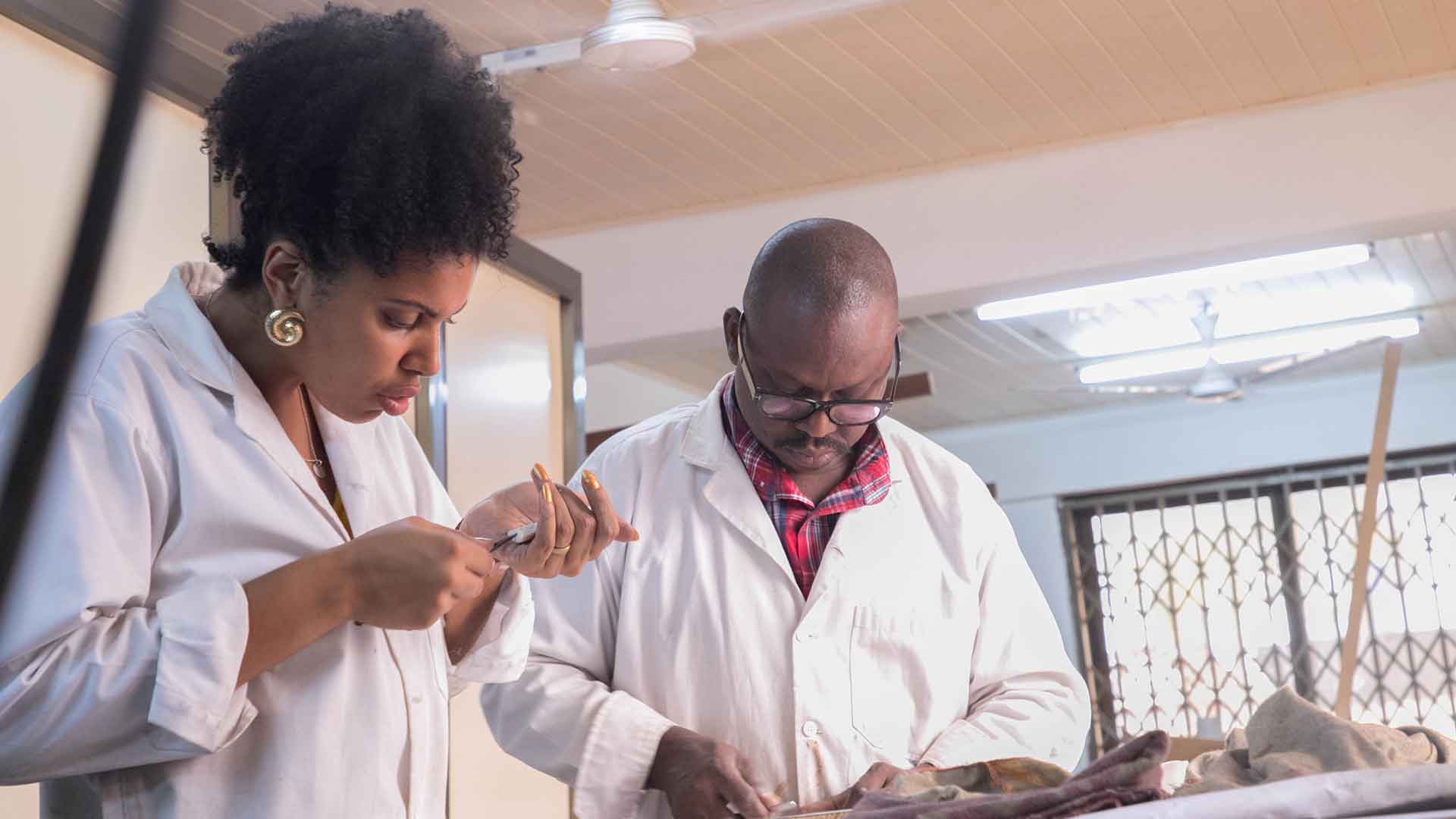 African Art - Diploma Introduction to African Art and Culture